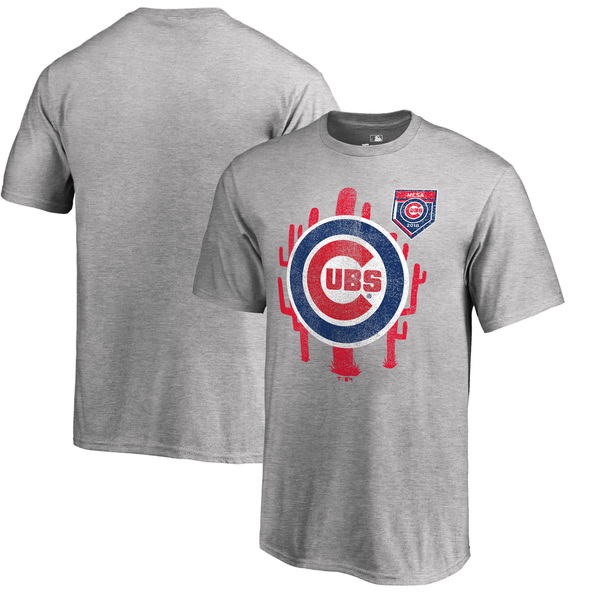 Men's Chicago Cubs Fanatics Branded 2018 MLB Spring Training Vintage T-Shirt – Heather Gray